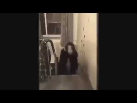 Ayuwoki Bailando Recopilacion