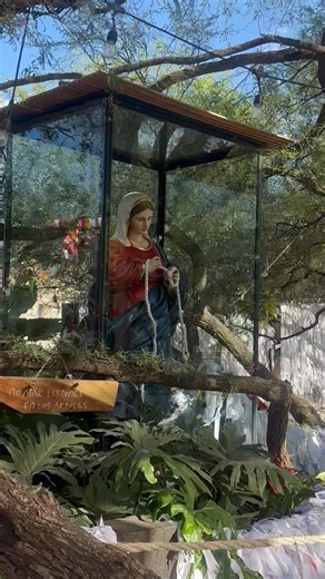 Adriana Sánchez on Reels | Facebook