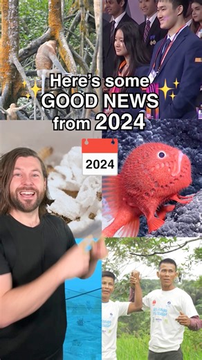 6K views · 246 reactions | Some of the best good news stories from 2024 you may have missed! | Sam Bentley | Facebook