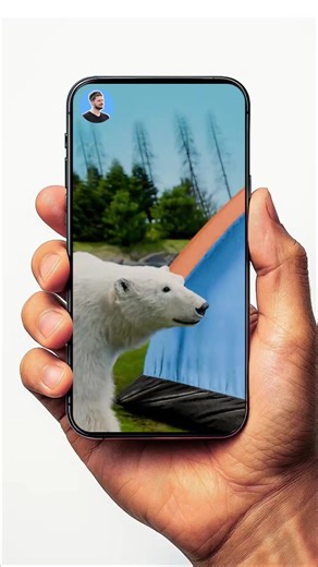 Man Battles a Polar Bear with a Pocket Knife