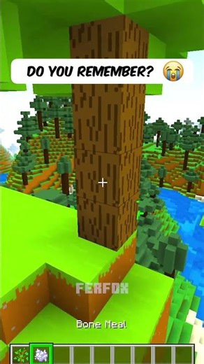 Do You Remember.. 🥺 #shorts #minecraft