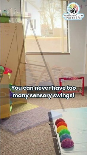 You can never have too many sensory swings!