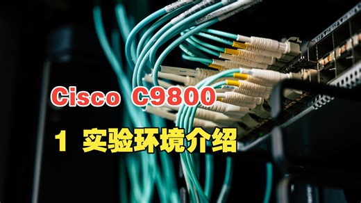 1 Cisco C9800实验环境介绍