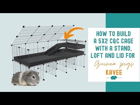 How to Build a 5x2 C&C Cage with a Stand, Ramp, a Loft and a Lid for your Guinea Pigs?