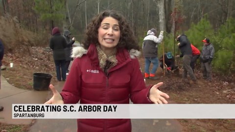 TreesUpstate and partners planting trees to celebrate SC Arbor Day
