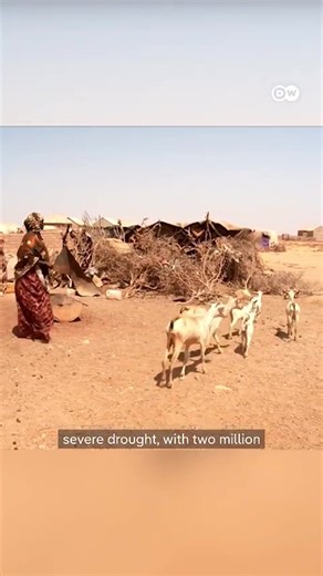 More than 6.5 million people in Somalia have been affected by severe drought, with 2 million in urgent need of food and water assistance, according to the country’s Disaster Management Agency. Officials warn that 1.84 million children under five could face acute malnutrition in 2026 as below-average rainfall worsens food insecurity, kills livestock, and deepens a regional crisis affecting parts of Ethiopia and Kenya.#DWAfrica | DW Africa