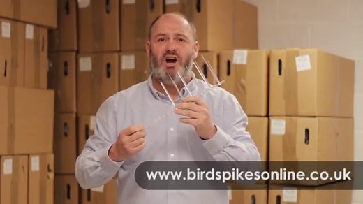 Defender® Wide Plastic Pigeon Spikes