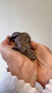 Miniature bronze whippet sculpture. There’s still time to order this solid bronze limited edition whippet ‘After the Chase’. For a £100 discount DM me with ‘WHIPPET’ and you’ll have it for Christmas! #whippet #whippetlove #sculpture #animalsculpture #animalart #dogportrait #doglovers #nickmackman #greyhound #dogsculpture | Nick Mackman Animal Sculpture