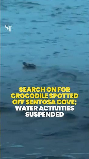 Search on for crocodile spotted off Sentosa Cove; water activities suspended