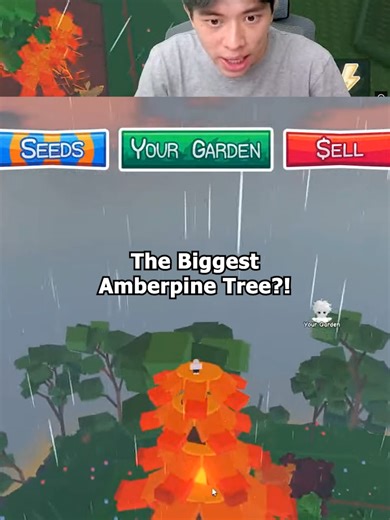 Discovering the Biggest Amberpine Tree in Roblox Garden