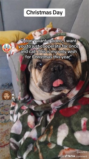 #FamilyDrama #narcissist #childsupport #parentalalienation #coparenting #toxicfamily #custody #FamilyCourt | Toxic Texts From My Toxic Ex