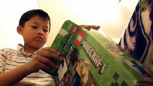 Reviewing A MineCraft Lego Set!!