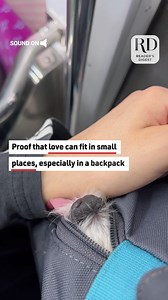 16K views · 114 reactions | Dog Licks Human | Reader's Digest | Facebook