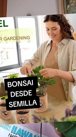 Si tienen la oportunidad de hacer un Bonsai desde semilla, desaprovechenla jajaj. No es cierto pero no es para los débiles #humor #bonsai #mexico #plantas #arte
