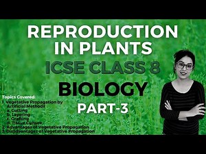 Reproduction in Plants 🌱 | ICSE CLASS 8 Biology | Part - 3