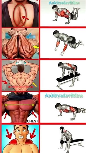 Top Fitness Expert Reveals Best Dumbbell CHEST Workout Techniques