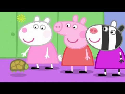 Peppa Pig S03E29 Doctor Hamster's Tortoise | Peppa Pig English Episodes