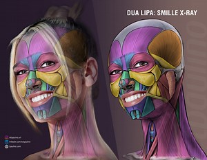 Dua Lipa: Face Dissection