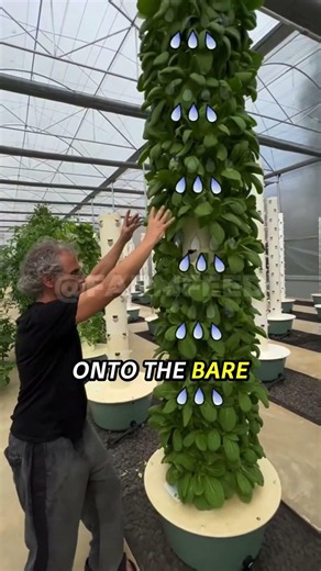 Farming With NO Dirt?! Inside a High-Tech Aeroponic Farm