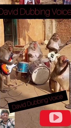 Monkey Funny Sing 😂 #song #funny #monkeycomedy #monkey #funnyanimals