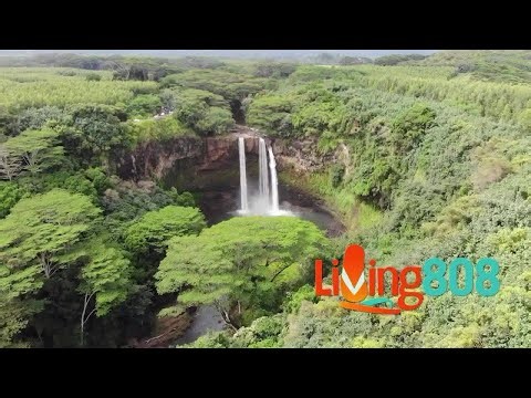 Diamond Bakery: A Century of Flavor, Tradition, and Hawaiʻi Pride