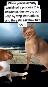 When you already explained everything but still 🙄🙄‼️| #fifo #memes #funnyreels #funnymemes #mining #operator #driverjobs #jobsinaustralia #reelschallengereelschallenge #trendingreel #reelsfacebook #operatorexcavator #fifoaustralia #trucking #dozeroperator #workingholidayvisa #fifofamily | FIFO