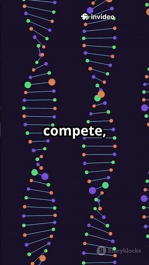 DNA Loops Condensin I vs Linker Histone #ChromatinStructure #Epigenetics #DNAOrganization