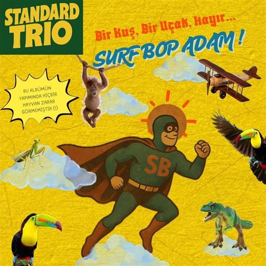 Politik Surf (Preview)