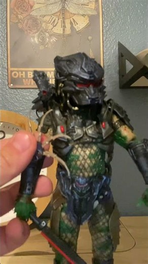 Predator review 🔥￼