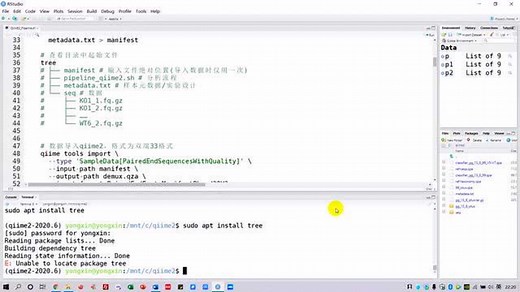 QIIME 2分析流程1数据导入、特征表、Alpha和Beta多样性分析