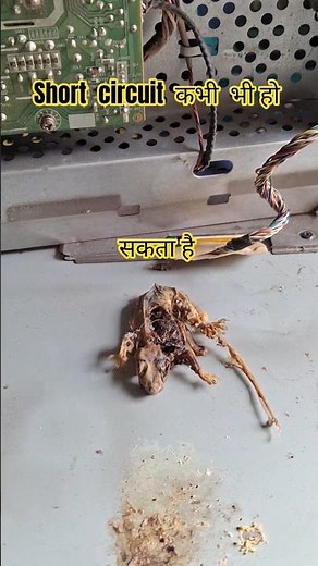 hp monitor short #repair #laptop #schematics #my technical channel