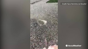8.1K views · 55 reactions | Hailstones fell on Wellington, New Zealand as a line of thunderstorms hit the area. | AccuWeather | Facebook