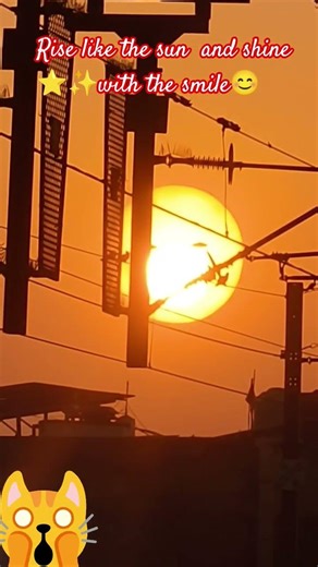 Smiling sun, happy soul 🌞Morning status#shining#sun#smiling#new#fun#shorts#status