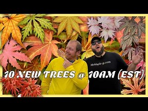 10 Amazingly Awesome Japanese Maples For Your Garden Landscape | 10 New Trees @ 10AM (EST)