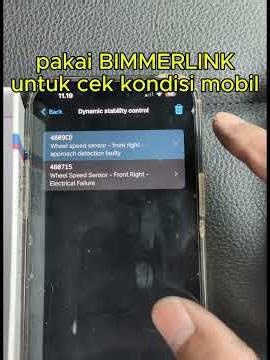 Install BimmerLink to check vehicle #bmw