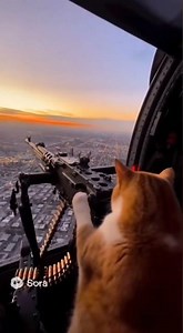 Cat Goes Full Action Hero 😼💥 | Shooting From a Helicopter!
