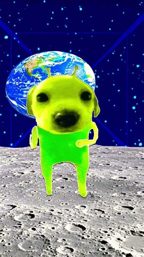 Alien dog pablo