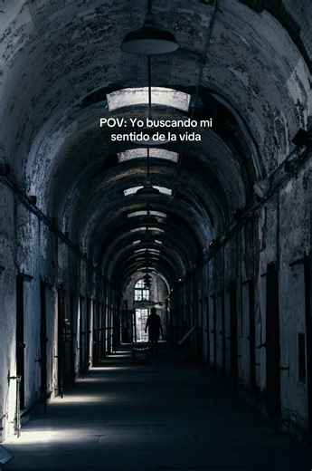 Qué música te gusta? Si Drácula hiciera synthwave así sonaría #viral #darkwave #dracula #80s #pov