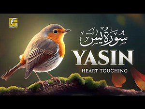 سورة يس 💖 Surah Yaseen | Heart-Touching Quran Recitation | Zikrullah TV