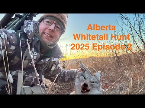 Alberta Whitetail Hunt 2025 - Episode 2