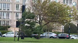 🌀 Storm Darragh is now impacting areas of Western Europe, in addition to remaining strong over the UK and Ireland. Our team on the continent are at the coast of Normandy, France to capture the scenes. Latest update here! https://app.weatherandradar.co.uk/U13Q/vnrx6r4e #StormDarragh #Storm #Weather | Weather & Radar UK / Ireland