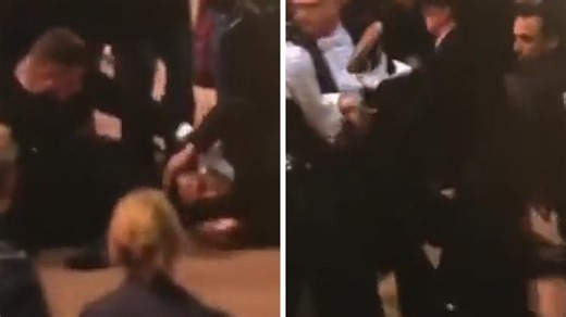 Queen Elizabeth II's Coffin Rushed, Man Arrested