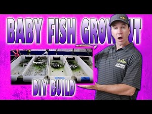 Most Genius System for Raising Baby Fish DIY step by Step Build : Designed By Master Breeder Dean