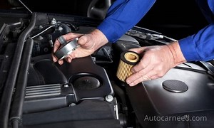 Do You Know Who Makes Ecogard Oil Filters? Is It Good?