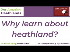 Our Amazing Heathlands - Why Learn About Heathland?