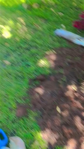 Waste removals septic tanks emptying services Harare, Zimbabwe domestic and industrial call 0718324838 | Septic Tank Emptying Services Harare.