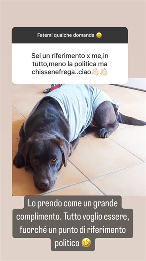 Andrea Scanzi on Reels