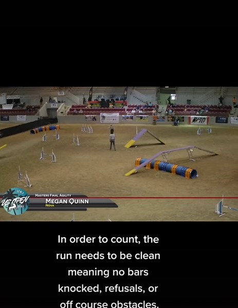 The most common questions I get or misconceptions I hear about agility! Its harder than it looks, and courses can be very technical and complex, but its super fun and the dogs love doing something active with their owners. I hope this gives some insight on the sport & appreciation for the awesome things people accomplish with their dogs. #dogsport #dogagility #dogtraining #agility #dogs #sportdog #ukiagility #bordercollie