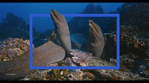 IMAX Sydney is NOW OPEN! Experience your next movie with one of the world’s biggest IMAX screens, 4K IMAX with Laser dual projection system and precision sound. After the star treatment? Upgrade your experience to our exclusive Private Box or sit back and relax in our Full Recliner or Couples Seats. | IMAX Sydney | Facebook