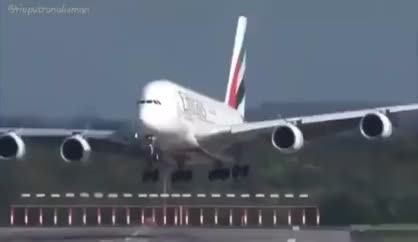 Kapten Oleng: Truk Oleng dan Lagu Terpopuler